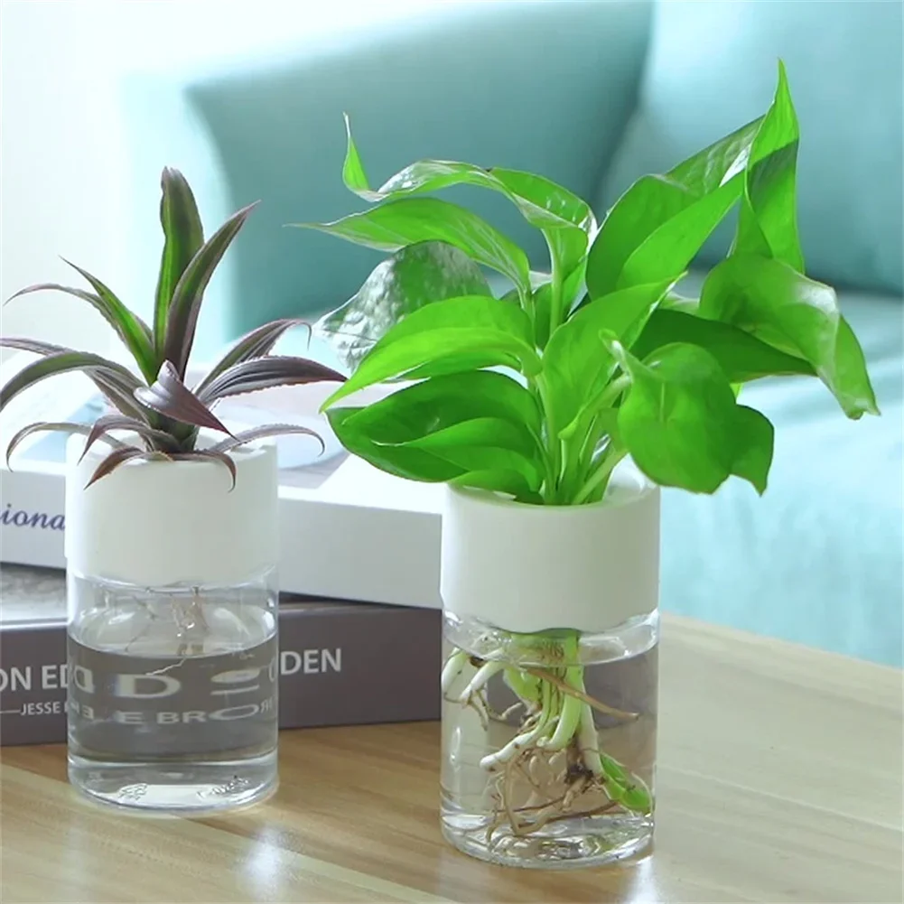 Mini hydroponiczna doniczka, p – Plant Desk Mini recenzja i cena