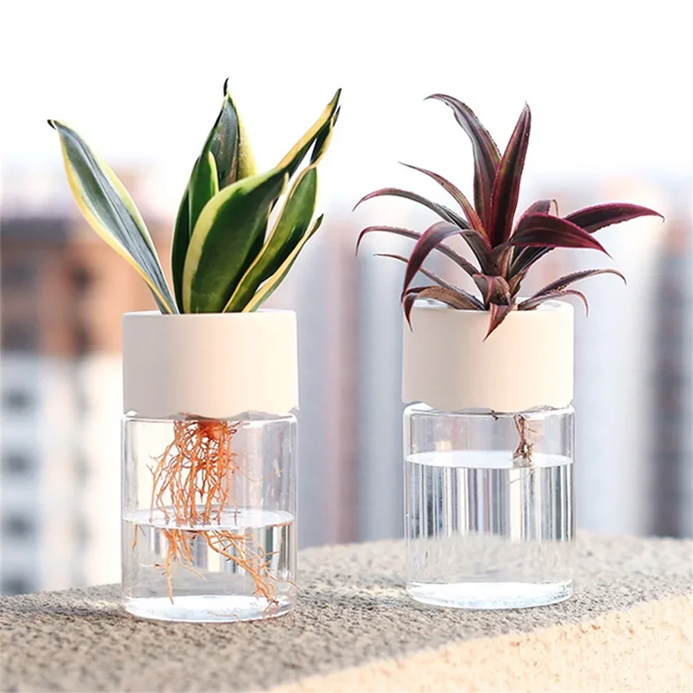 Mini hydroponiczna doniczka, p – Plant Desk Mini recenzja i cena