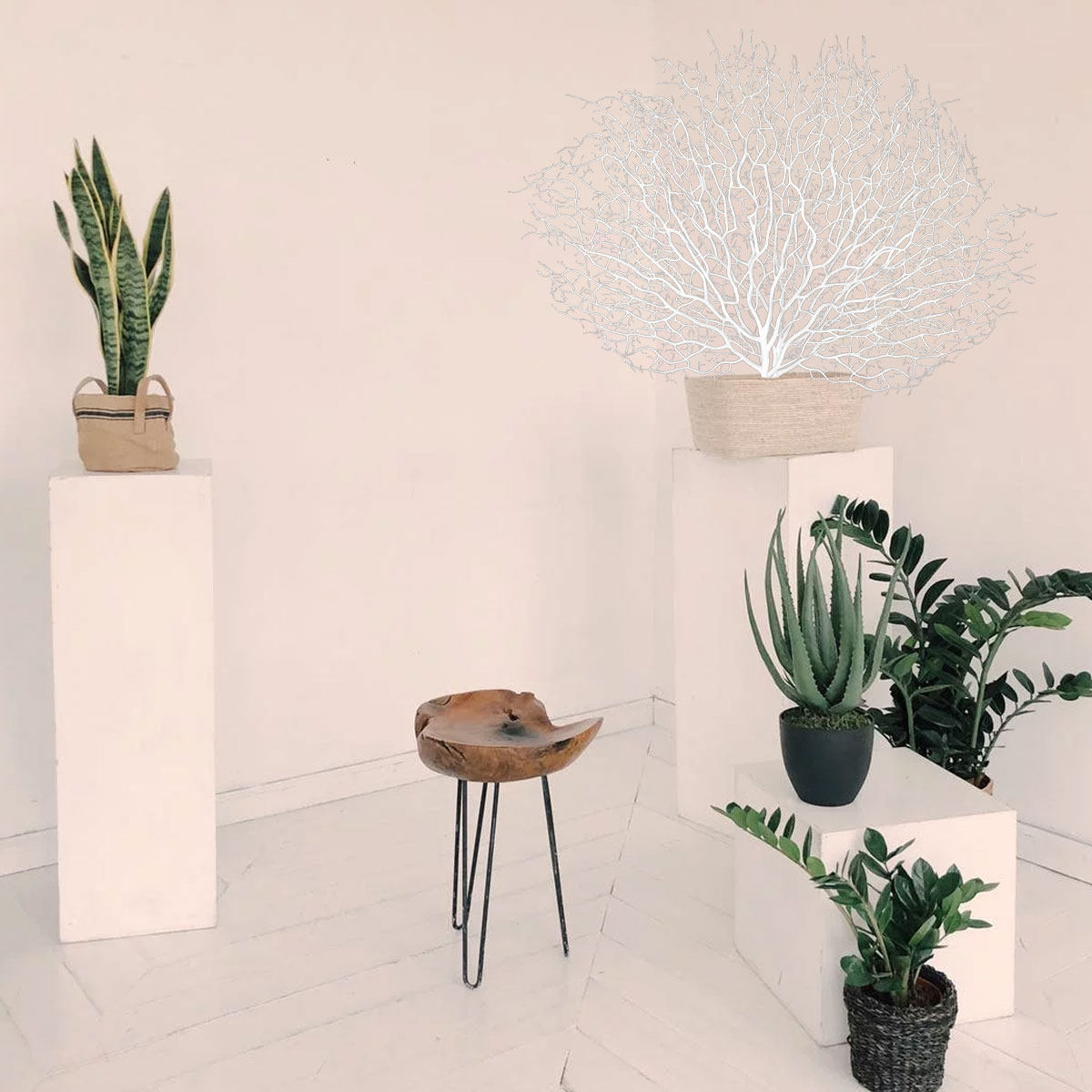 1 szt. Realistyczna plastikowa – Home Office Interior Design recenzja i cena